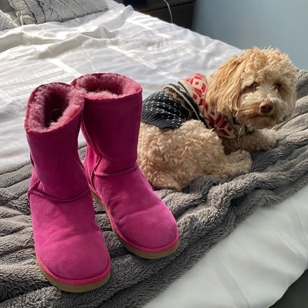 Hot Pink Classic Short Ugg Boot